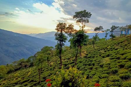 Rangbull Kalej Valley